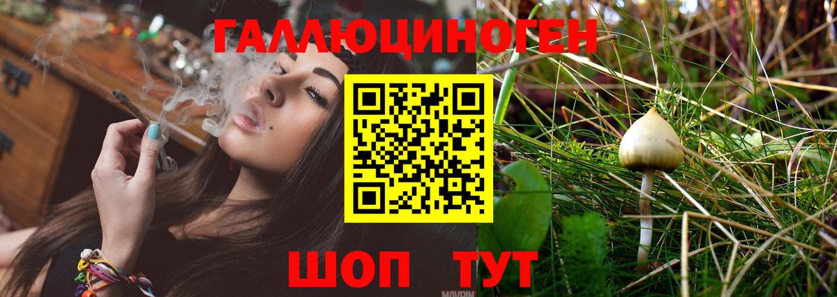 Волгоград  Галлюциногенные грибы Psilocybe  Галлюциногенные грибы ЛСД  Вход с VPN 